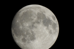 DSCN0850