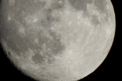 DSCN0855