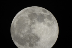 DSCN0872