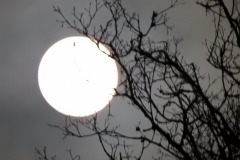 DSCN0884