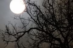 DSCN0886