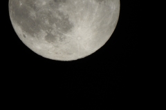 DSCN0887
