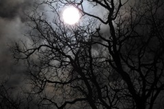 DSCN0891