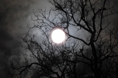 DSCN0892
