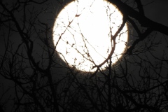 DSCN0893