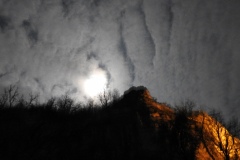 DSCN0894
