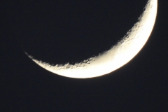 DSCN1171