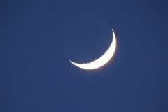 DSCN1179