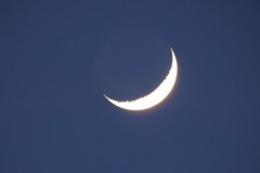 DSCN1180