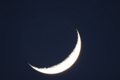 DSCN1181