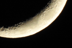 DSCN1194