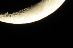 DSCN1196