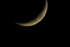 DSCN1407