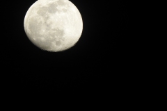 DSCN1411