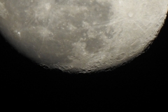 DSCN1413