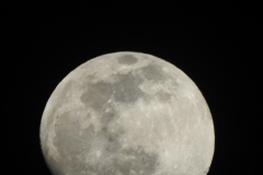 DSCN1418