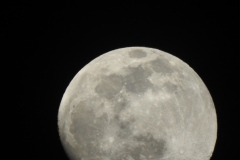 DSCN1419