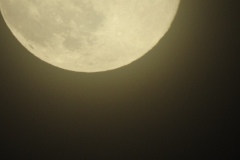 DSCN1572