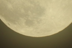 DSCN1584