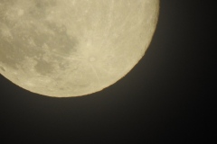 DSCN2485