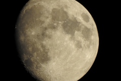 DSCN3006