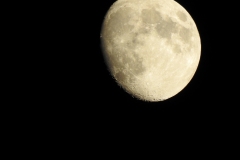 DSCN3007
