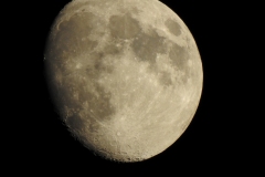 DSCN3014