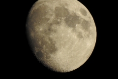 DSCN3015