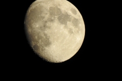 DSCN3017