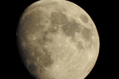 DSCN3018