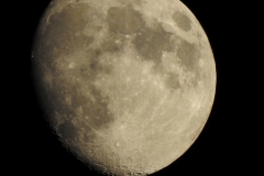 DSCN3019