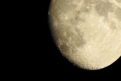 DSCN3024