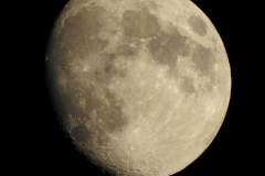 DSCN3025