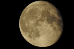 DSCN3262
