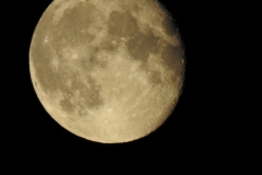 DSCN3263