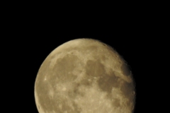 DSCN3264