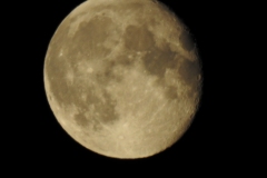 DSCN3267