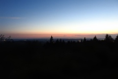 DSCN4602
