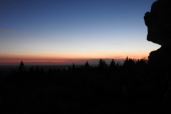 DSCN4603