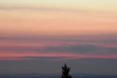 DSCN4606