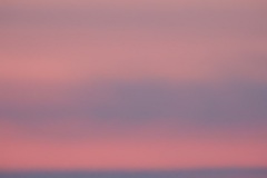 DSCN4607