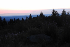 DSCN4608