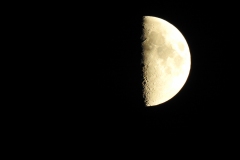 DSCN4928