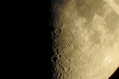 DSCN4937