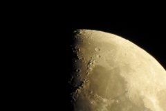 DSCN4938