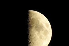 DSCN4941