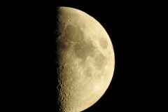 DSCN4942