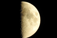 DSCN4943