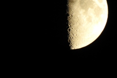 DSCN4944
