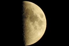 DSCN4947